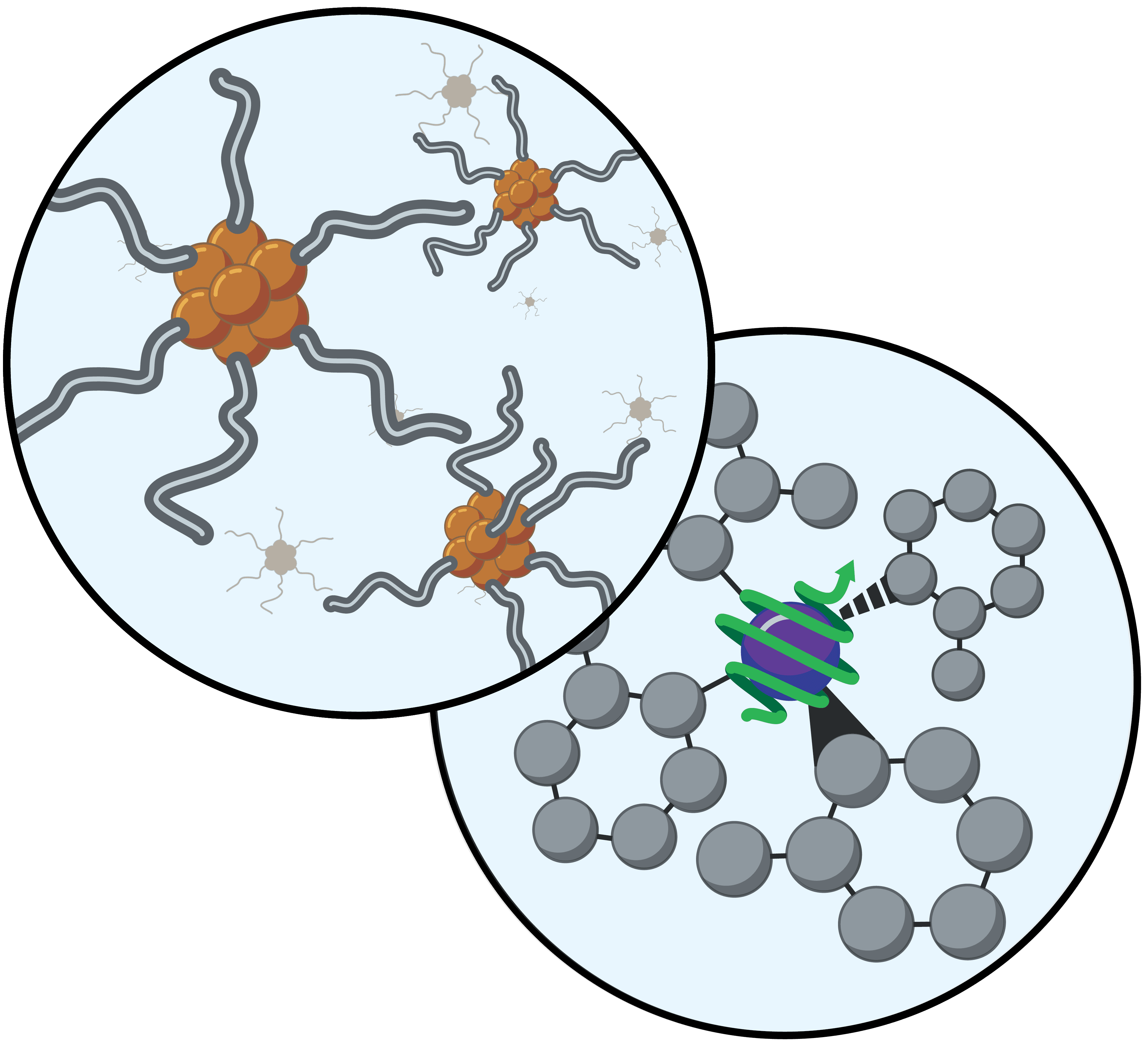 Illustration showing clusters of orange molecules with wavy gray lines radiating outward, representing molecular structures. Overlapping this is a second circle depicting a central purple and green spiral structure surrounded by gray spheres connected in a network, symbolizing a complex molecular or intramolecular system.