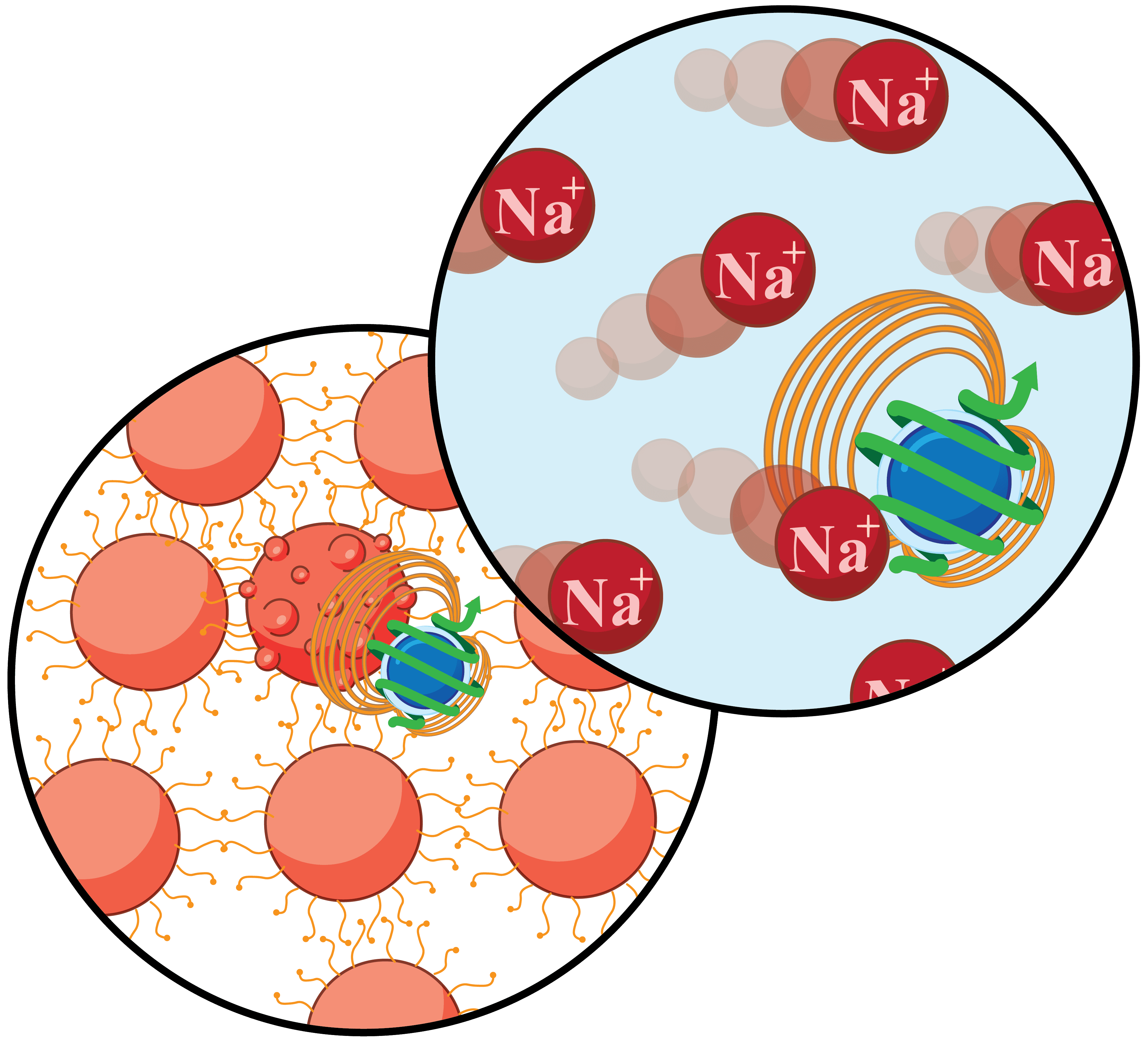 Illustration with two overlapping circles. The lower left circle shows many red nanoparticles with yellow strands, and a central blue and green quantum spin surrounded by orange field lines. The upper right circle features red sodium ion (Na⁺) symbols and a blue and green quantum spin with orange field lines, representing quantum sensing in ionic or nanoparticle environments.
