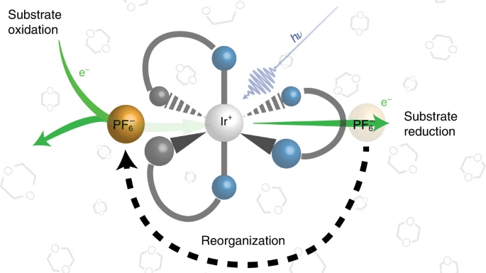 A mechanistic diagram illustrating ion-pair reorganization in photoredox catalysis. The central feature shows an iridium photocatalyst (Ir⁺) surrounded by multiple coordination sites with blue spheres representing ligands or counterions. Two PF₆⁻ anions (shown as brown spheres) are positioned on opposite sides, connected by green arrows indicating substrate oxidation and reduction pathways. A curved dashed arrow at the bottom labeled 'Reorganization' shows the dynamic rearrangement of the ion pair structure. The background contains faded molecular structures suggesting various substrates. The diagram demonstrates how the spatial arrangement of ionic species around the metal center changes during the catalytic cycle, affecting both the thermodynamics and kinetics of electron transfer processes.
