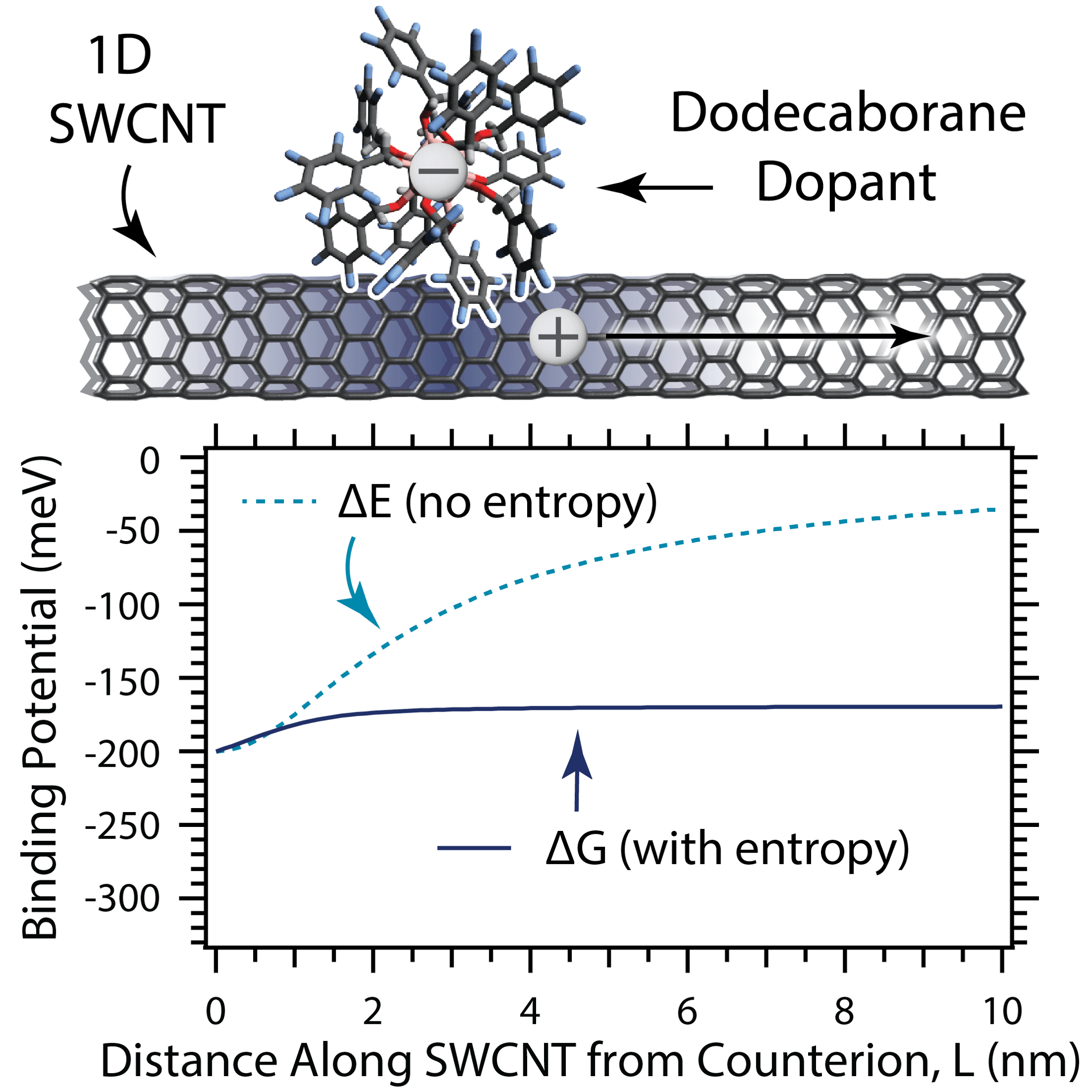A scientific figure showing entropy's role in charge separation in 1D semiconductors. The top panel depicts a single-walled carbon nanotube (1D SWCNT) with a dodecaborane dopant molecule attached, showing charge transfer with a positive charge moving along the nanotube. The bottom panel shows a graph plotting binding potential (meV) versus distance along the SWCNT from the counterion (0-10 nm). Two curves are shown: a dashed cyan line labeled 'ΔE (no entropy)' that rises from about -200 meV to -50 meV, and a solid dark blue line labeled 'ΔG (with entropy)' that remains relatively flat around -170 meV, demonstrating how entropy considerations significantly affect the energetics of charge separation.